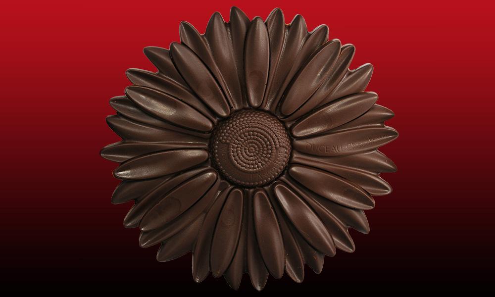 Duceau Chocolatier - Angoulême - Jean-Christophe Crosnier