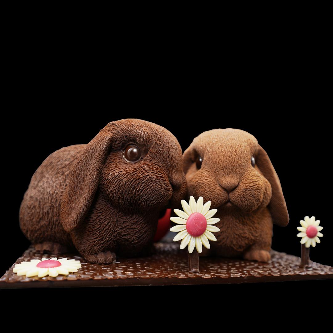 Duceau Chocolatier - Angoulême - Jean-Christophe Crosnier