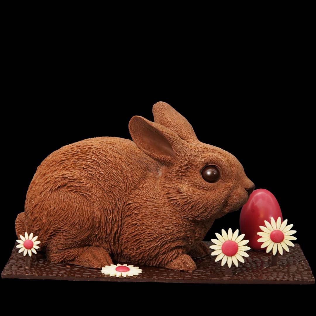 Duceau Chocolatier - Angoulême - Jean-Christophe Crosnier