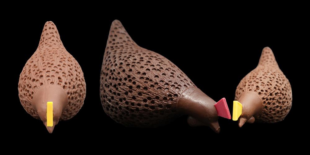 Duceau Chocolatier - Angoulême - Jean-Christophe Crosnier