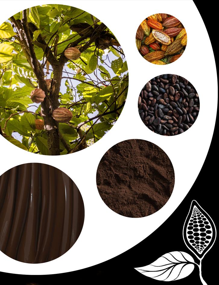 Duceau Chocolatier - Angoulême - Jean-Christophe Crosnier