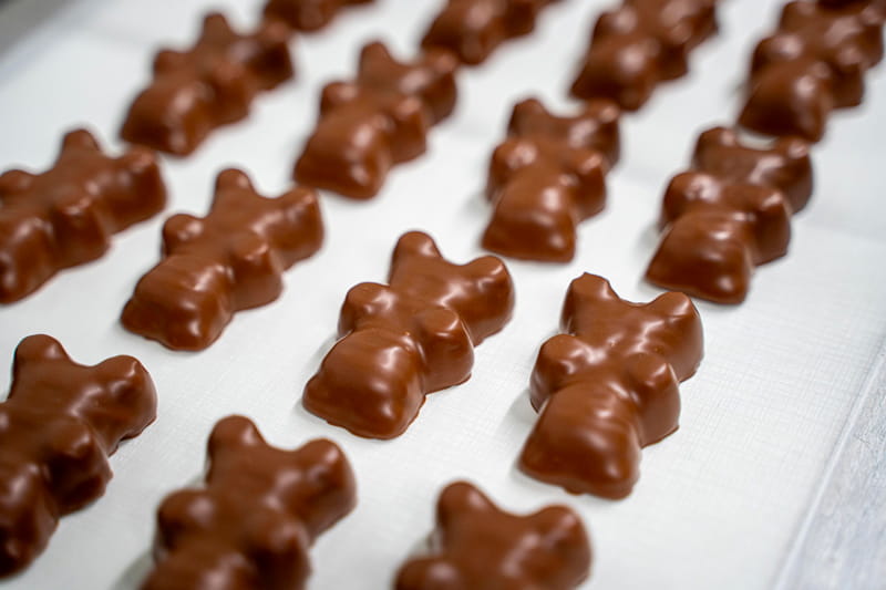 Ourson en chocolat avec de la guimauve